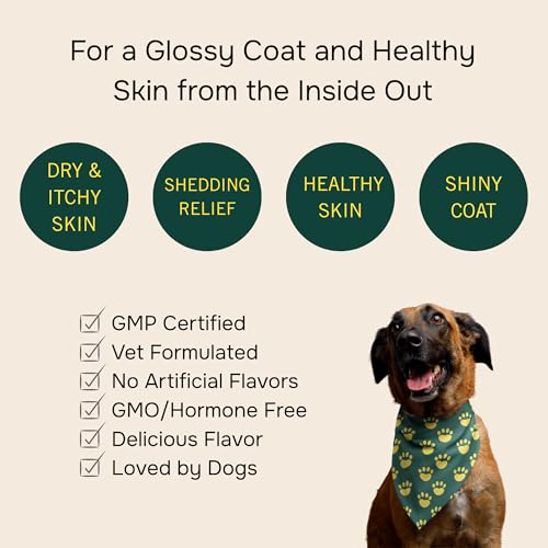 Image of PetMeds Skin & Coat Supplement for Dogs - Fish Oil, Omega 3, Vitamin E, & Biotin for Dry, Itchy Skin & Shedding Relief - Healthy Skin & Shiny Coat - Beef & Sweet Potato Flavor - 60 Soft Chews