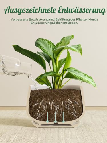 LE TAUCI Blumentopf Keramikmit Untersetzer, 10+13+16 cm, 3er Set, Weiß – Ansicht 5