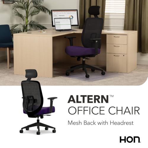 Image of HON Altern Ergonomic Office Chair, Office Desk Computer Chair, Iris