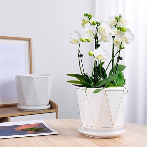 Pots de fleurs succulentes céramique noir grand format moyen balcon - 7