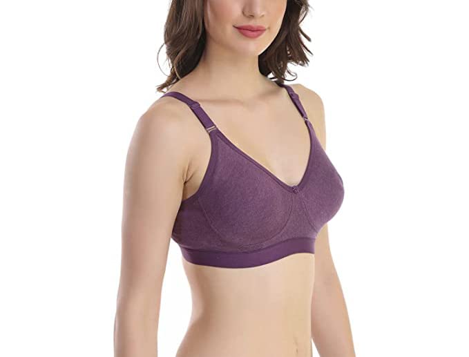 Image of SKDREAMS Blue & Brown & Purple-32D Cotton Blend Seamless Non Padded Non-Wired Full Coverage Pack of 3 Women T-Shirt Bra Combo