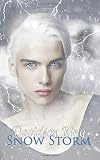 Snow Storm (Haven Hart)