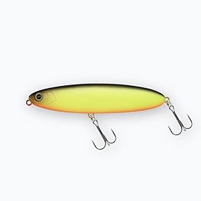 Amazon.co.jp: シーバス・ヒラメルアー - 釣り: スポーツ