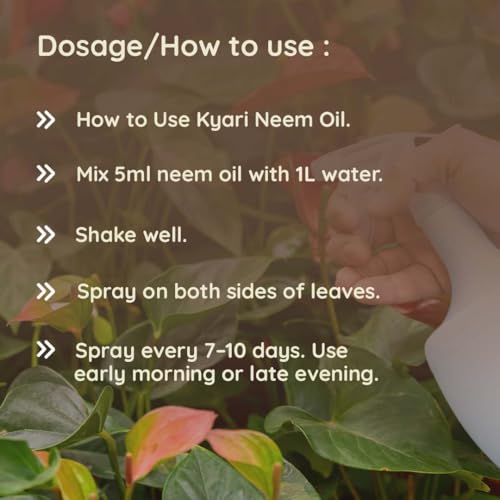 Image of Kyari Neem Oil for Plants 500 ml - Cold-Pressed Organic Neem Oil Spray Concentrate, Natural Pesticide for Plants - Plant Protection Spray for Insects & Mites - 100% Natural