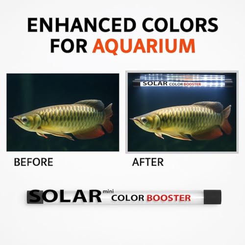 Image of VAYINATO Solar Colour Booster Aquarium LED Light - Tanning Pro Fish Color Enhancing Lamp | Professional Aquarium Lighting for Arowana, Channas, Cichlids, Flowerhorn (L-80 (Suitable for 80 Cm Tank))
