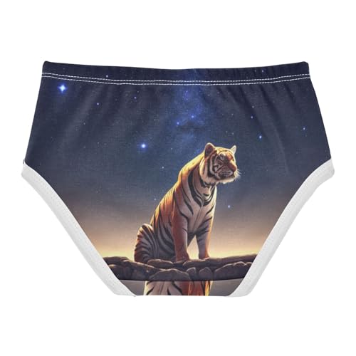 Tiger Night Sky Toddler Underwear Custom 2t Cotton Panties for Girl Florals Briefs Underpants2