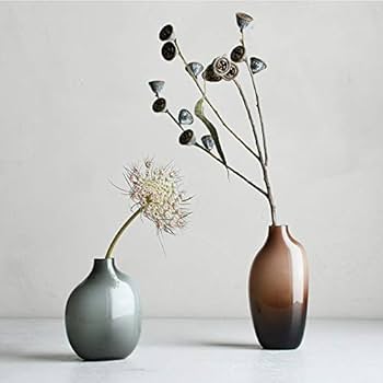 シャンプー sacco Amazon.co.jp: SACCO ベース ガラス 01 花瓶 一輪挿し G26050 BR26051