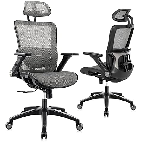 Office Chair Ergonomic Mesh Chair High Back Computer Desk Chair with 3D Armrest Adjustable Lumbar Support and Headrest Receling Chair, Grey Cover
