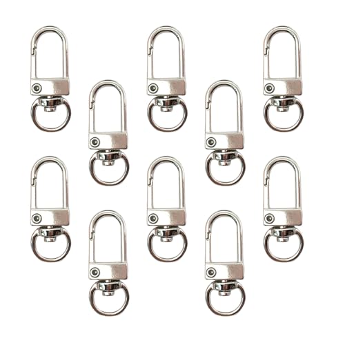 10 PCS^XCxuX^[N[NXNXvOPAO̒ʃRlN^WG[CLO