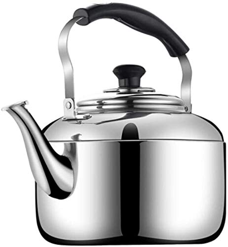 Théière sifflet en inox poli 4L SHISHI pour vos moments conviviaux en cuisine