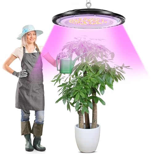 Armarios Cultivo Interior Marihuana Marca TODEHI