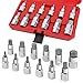 FIFIBANG Inbus Nuss Satz 1/2 zoll, Innensechskant 1/2 Zoll, Imbusnussen Satz 1/2'', Socket Spanner Set Hex 5, 6, 7, 8, 10, 12, 14, 16, 17, 18, 19, 22mm mit Kunststoffkoffer, Allen Key Socket Set 19 x günstig Kaufen-FIFIBANG Inbus Nuss Satz 1/2 zoll, Innensechskant 1/2 Zoll, Imbusnussen Satz 1/2'', Socket Spanner Set Hex 5, 6, 7, 8, 10, 12, 14, 16, 17, 18, 19, 22mm mit Kunststoffkoffer, Allen Key Socket Set