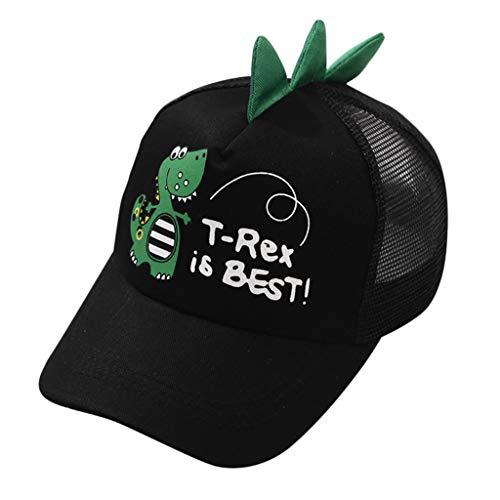 Gorra de béisbol para niñas, gorra de béisbol para niños, gorra bordada de dinosaurio, gorra de béisbol 2012, visera Accord (negro, talla única), Negro, Talla única