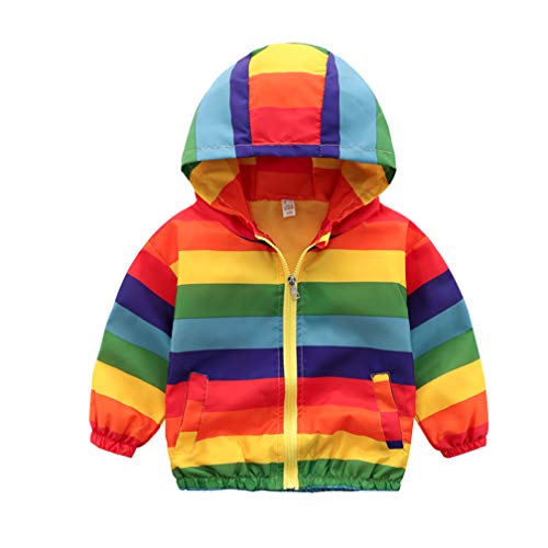Kids Baby Boys Long Sleeve Dinosaur Fall Coat Outwear Infant Toddler Hoodie Hooded Zip-up Thin Jacket Clothes (Rainbow, 6-12 Months)