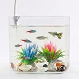 GarveeMore Acuario de Iniciación, Grande