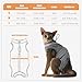La La Pet®Adjustable Cat Surgery Recovery Suit Female Protective Kitten Surgical Recovery Suit Male Anti Licking Cat Neuter Body Recovery Shirt Breathable Cat Onesie for Cats After Surgery Large