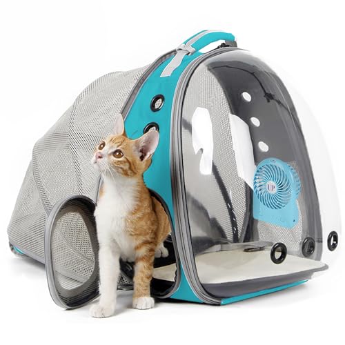Cat Travel Backpack with Fan, Fit up to 12 lbs,