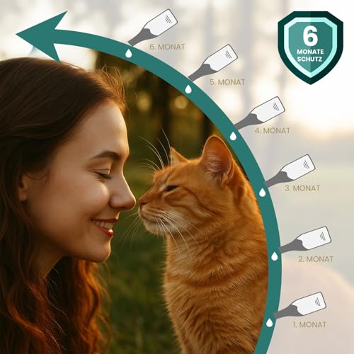 MC-Royal® Spot On Natürlicher Zeckenschutz für Katzen [6 Monate effektiver Schutz vor Zecken] Zeckenmittel für Katzen - Repellent gegen Zecken, Sofortschutz
