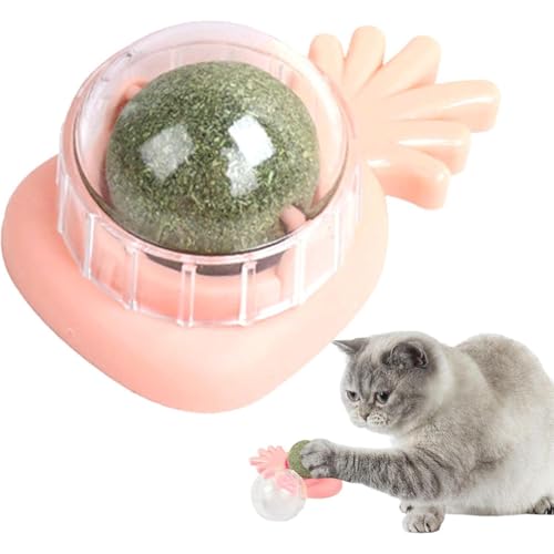 AOLNGG L {[ ] ܂у{[ ] ׃{[ ܂уgC }^^r{[ Lrߗp LLbgjbv ܂  ] ~g{[ Lbgjbv CknbJ܂ {[ L ܂у{[ (sNpCibvLbgjbv