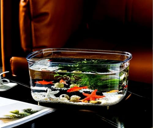  vX`bN    AN _J  O ϗtA CeA e e[u ANAE {E | e  e ^ 甫 lHt @\ SS (M,Jo[Ȃ)