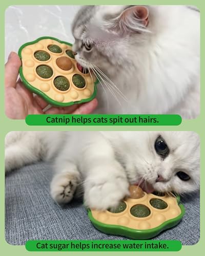BESNEW Catnip Toys,Lotus Pod Catnip Balls,Extra Cat Energy Ball,Teeth Cleaning Dental Wall Treats,Edible Cat Candy for All Breeds — view 2