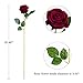 Hawesome 12PCS Artificial Flowers Fake Roses, Realistic Velvet Long Stem Red Roses Bouquet for Wedding Centerpiece Home Decor Party & Valentines (Wine)