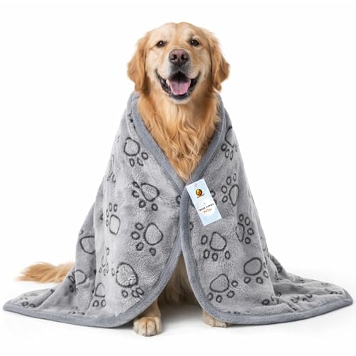 Image of Foodie Puppies Quick Drying Microfiber Pet Towel, (Paw Print Bath Towel) (Grey, 107 cm x 85 cm) Large Super Absorbent Soft Fleece Bath Towel for Drying Dogs & Cats, Grooming Blanket