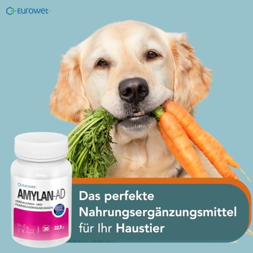 Verdauungs-Tabletten für Hunde & Katzen - Mit Rinderleber & Mineralstoffen - Für gesunde Verdauung - 30 Tabletten - AMYLAN AD