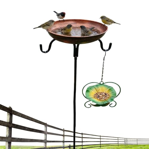 Bassin d'eau pour oiseaux extérieurs : décorez votre pelouse - 2