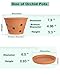 vensovo 8 Inch Terracotta Orchid Pots with Holes and Saucers, 2 Pack Large Clay Planters for Repotting, Terra Cotta Pots for Indoor & Outdoor Plants, Promotes Air Circulation