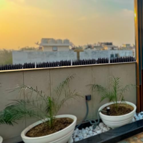 Image of Bird Spikes |Black| Pack of 10 Bird Spikes | 11.5 Inch Length Repellent Spike, Pigeon Problem Solutions, UV Stabilized Spikes for Outdoor AC Unit & Balcony Railing, Pigeon Control