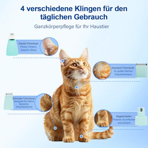 Dufuso Leise Schermaschine Katze Set, 4 in 1 Haarschneidemaschine Mit LED-Licht, Profi Pfotentrimmer Für Hunde, Für Große Kleine Katzen Hunde, Für Pfoten, Augen, Ohren, Gesicht, Körpe (Grün)