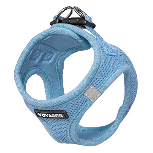 Voyager Step-In Air Dog Harness - All Weather Mesh Step In Vest Harness For Small And Medium Dogs By Best Pet Supplies - Harness (Baby Blue), Small #TOP2
