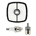 Hilom 13120507320 A226001410 Repower Tune Up Kit for Echo SRM210 SRM225 ES-210, GT-200, GT-225, HC-150, HC-225, PAS-225 PAS-265 PB-250 PE-225 SHC-225 SRM-265 Echo 90152Y