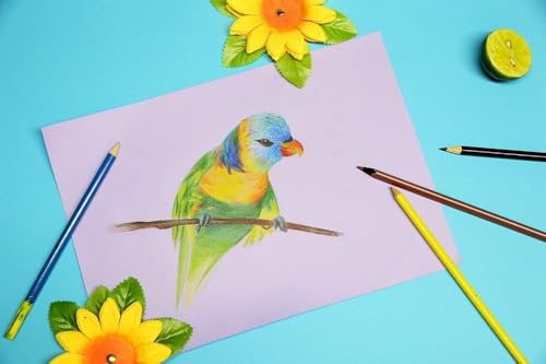 Papier à bricolage Clairefontaine Dessin couleur 160 gm² - vue 5