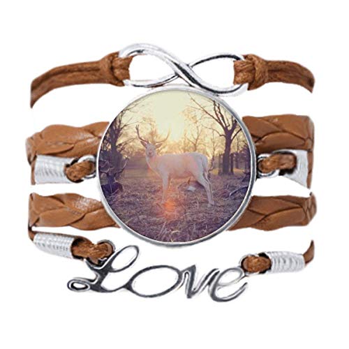 Corde tordue de cuir noir bracelet la lumière des Sciences Nature