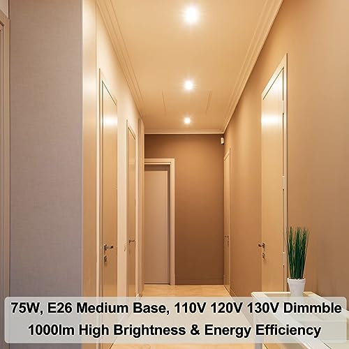 Vinaco PAR30 75W-L01 Long Neck 75W, 6 Pack Long Lasting Par30 Halogen Flood Light Warm White 2800K, Par30 Dimmable, High Output Par30 Flood Light Bulb 120V thumb #2