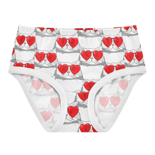 Joisal Cat Print Red Heart Valentine Toddler Girls Underwear 2t Cotton Cute Panties Girl Funny Underpants Briefs