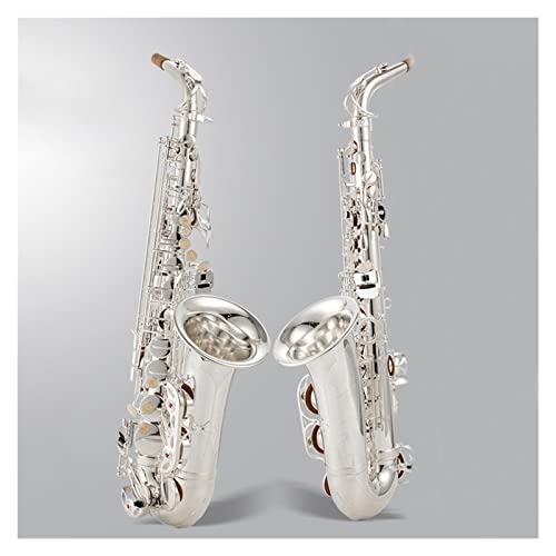 E-Flat Alto Saxophone Sҗp TbNX (J[: 7)