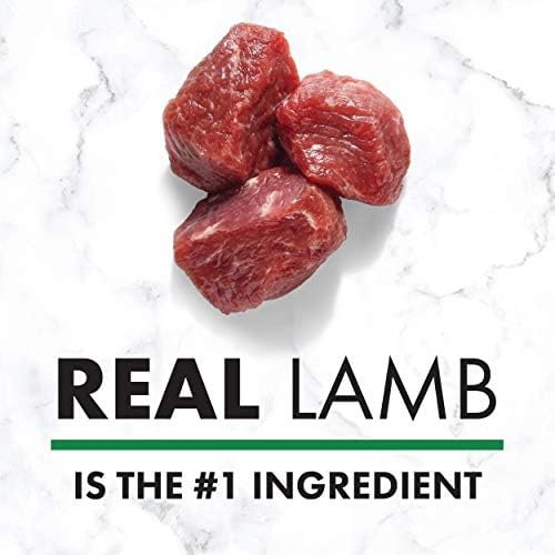 nutro lamb healthy weight