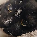 AfraidOfTheMoon