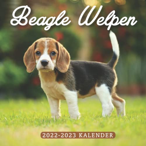 Beagle Welpen Kalender 2022-2023: 24-Monats-Kalender von Januar 2022 bis Dezember 2023. Platz für Notizen. Es ist ein perfektes Geschenk für einen geliebten Menschen