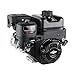 Briggs and Stratton 130G37-0183-F1 900 Series Engine, Black