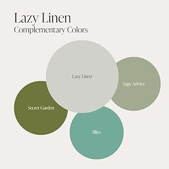 Country Chic Paint Chalk Style - for Furniture, Home Decor, Crafts - Eco-Friendly - All-in-One - No Wax Needed (Lazy Linen [Light Grey], Sample (4 oz))