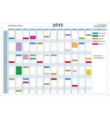 EXACOMPTA Planning annuel magnétique 90 x 59 cm vendu en kit avec de nombreux accessoires