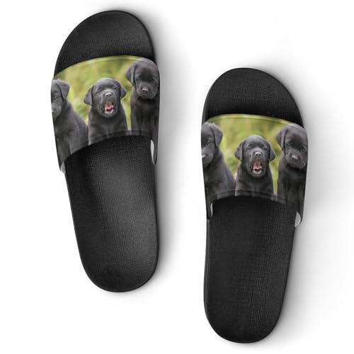 Claquettes femme Labrador noir : pantoufles de bain et chaussons de maison