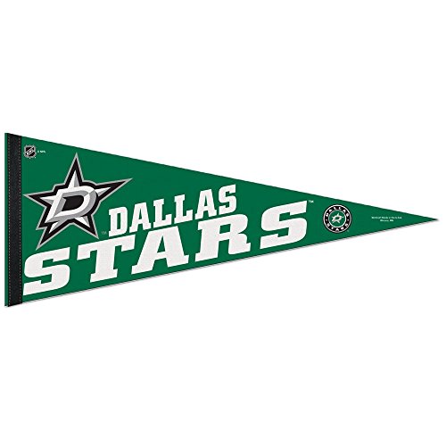WinCraft NHL Dallas Stars WCR63864114 Carded Classic Pennant, 12
