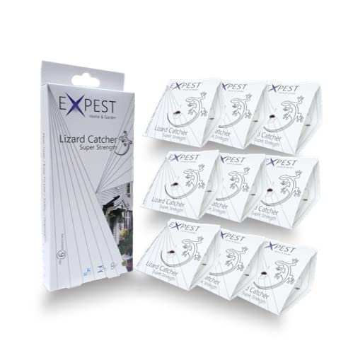 9 Pcs Lizard (Cicak/Gecko) Sticky Smart Trap / Lizard Killer DIY
