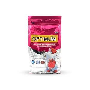 Foodie Puppies Optimum Fish Food – 500gm (Mini Pellet) | Highly Digestible & Added with Fish Meal, Corn Protein Meal & Fish Oil | Highly Nutritious Fish Food for All Aquarium Fish with Free Key Ring