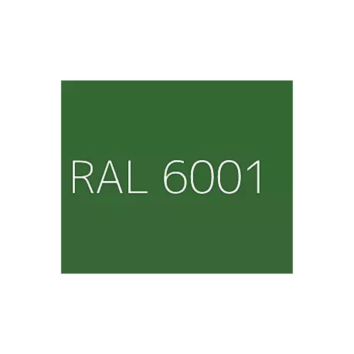 Resina Epossidica Bicomponente Opaca per Pavimenti Industriali e Cementizi Alta Resistenza Chimica e Personalizzazione RAL/NCS Resa 45-55 Mq Colori Scuri Epocoat Tinte Scure (RAL 6001, 1 Kg)